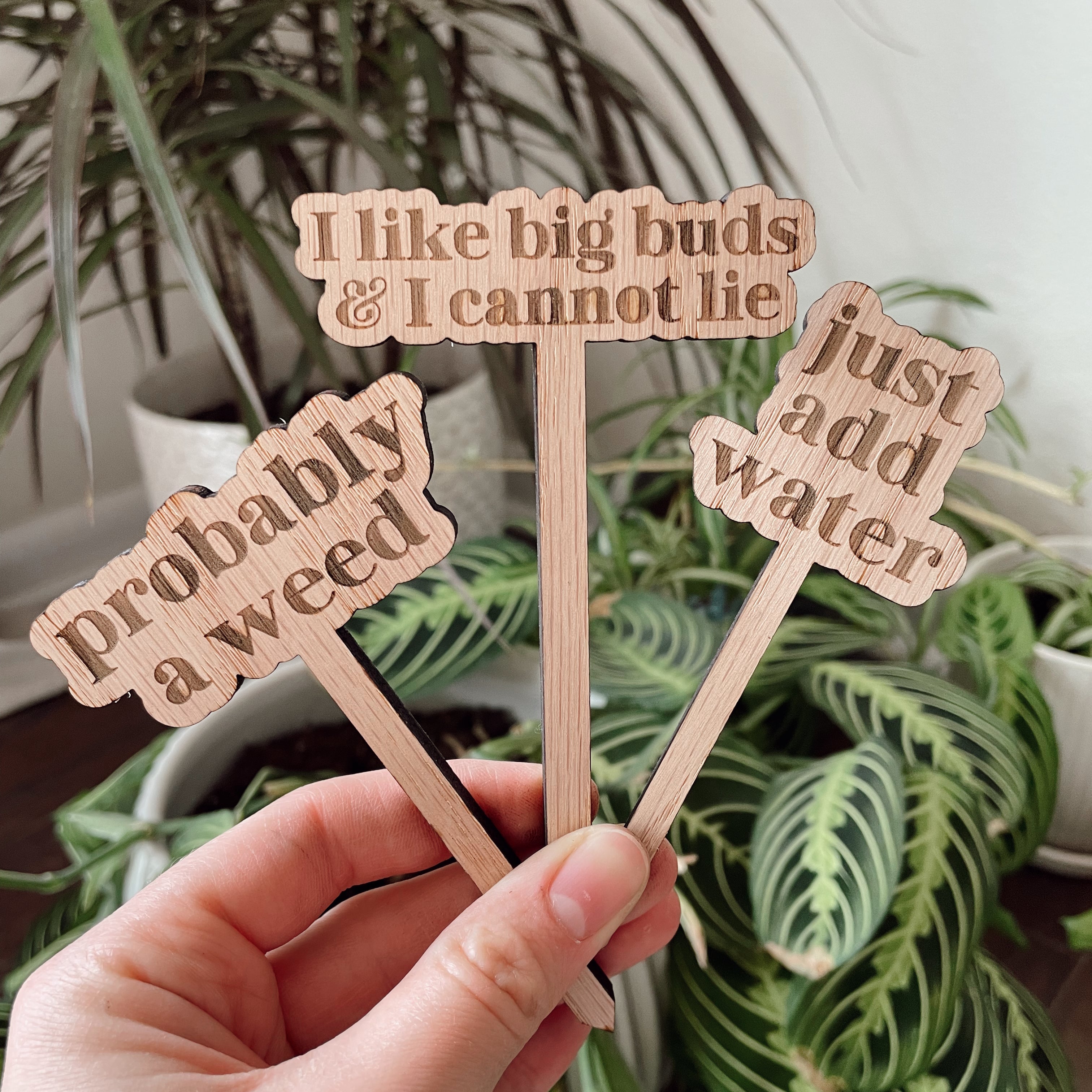 Green Thumb Garden Collection