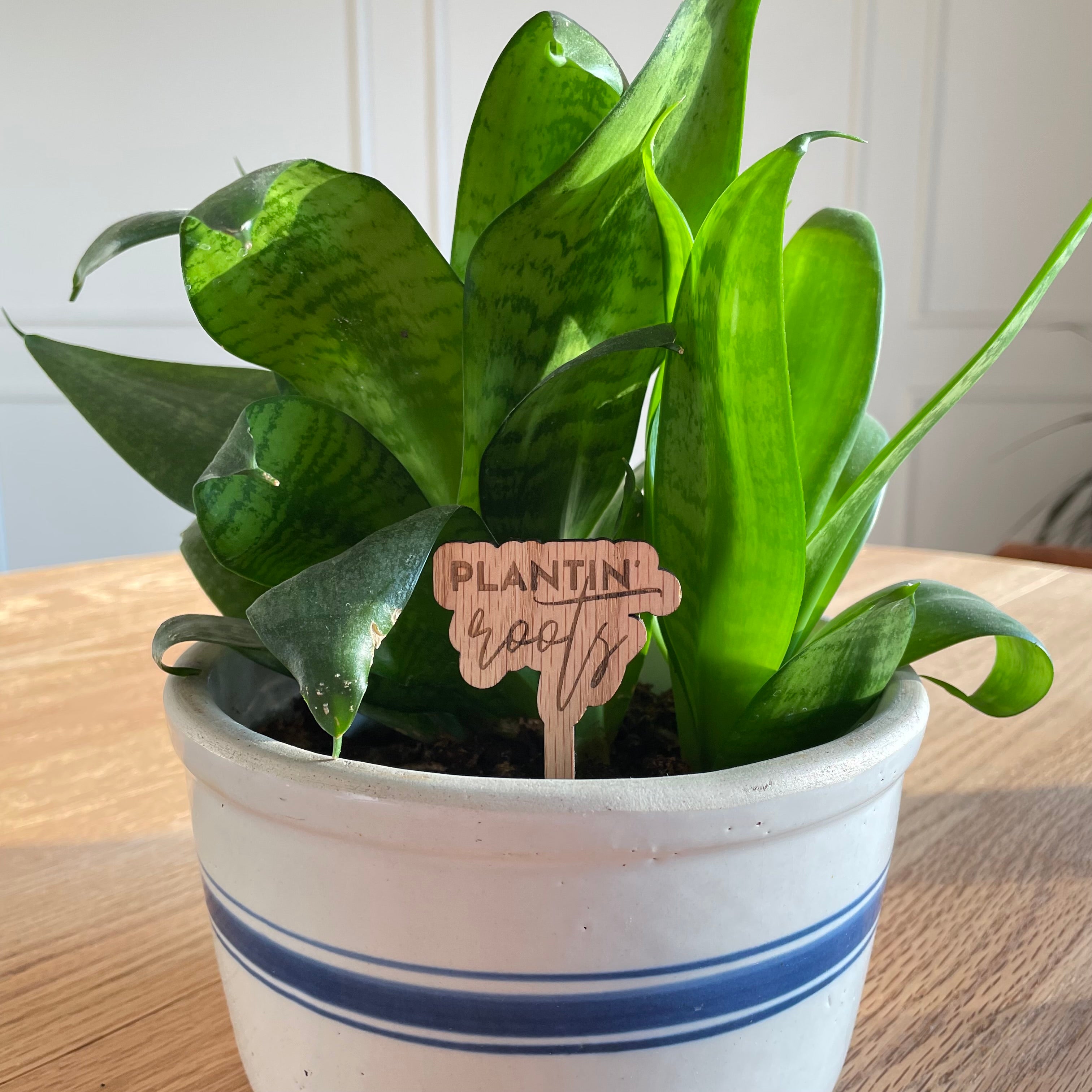 Plantin’ Roots - Plant Stake