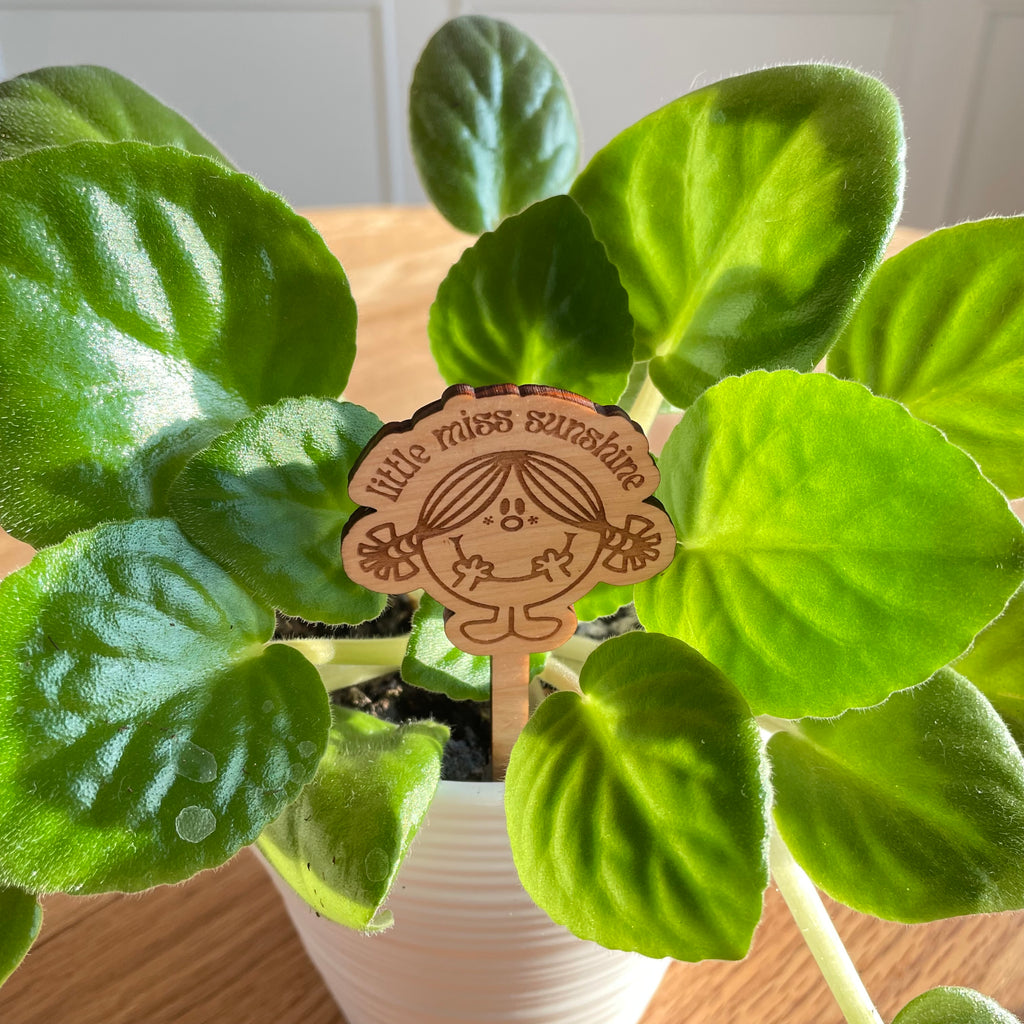 Little Miss Sunshine - Character Plant Stake