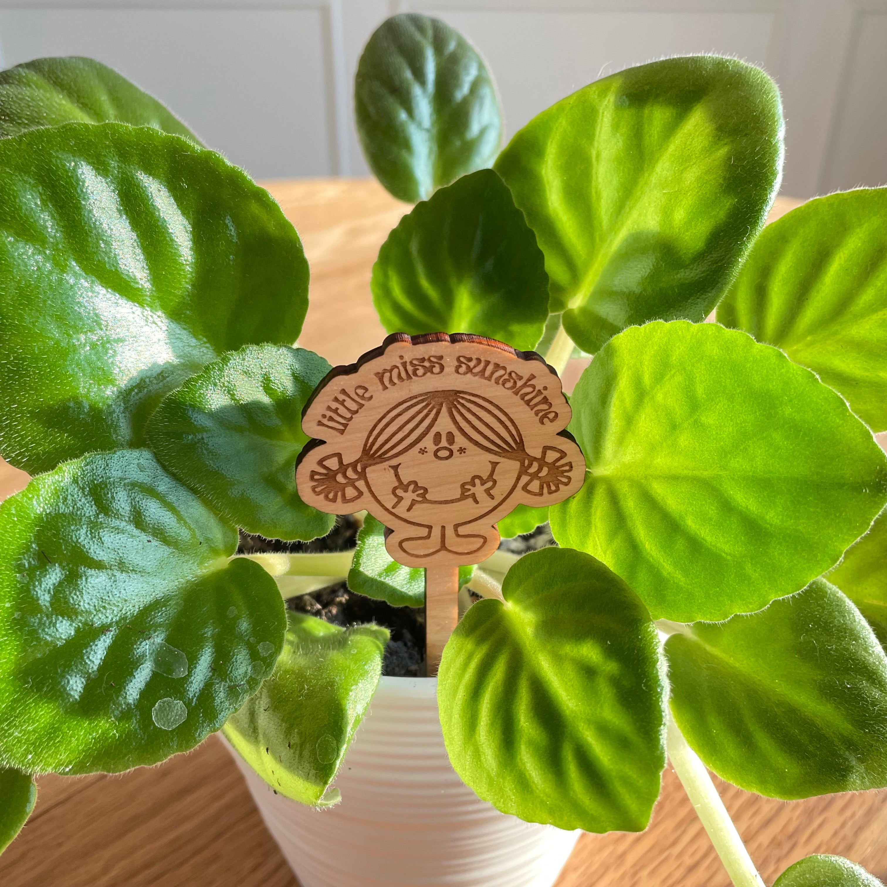 Little Miss Sunshine - Character Plant Stake