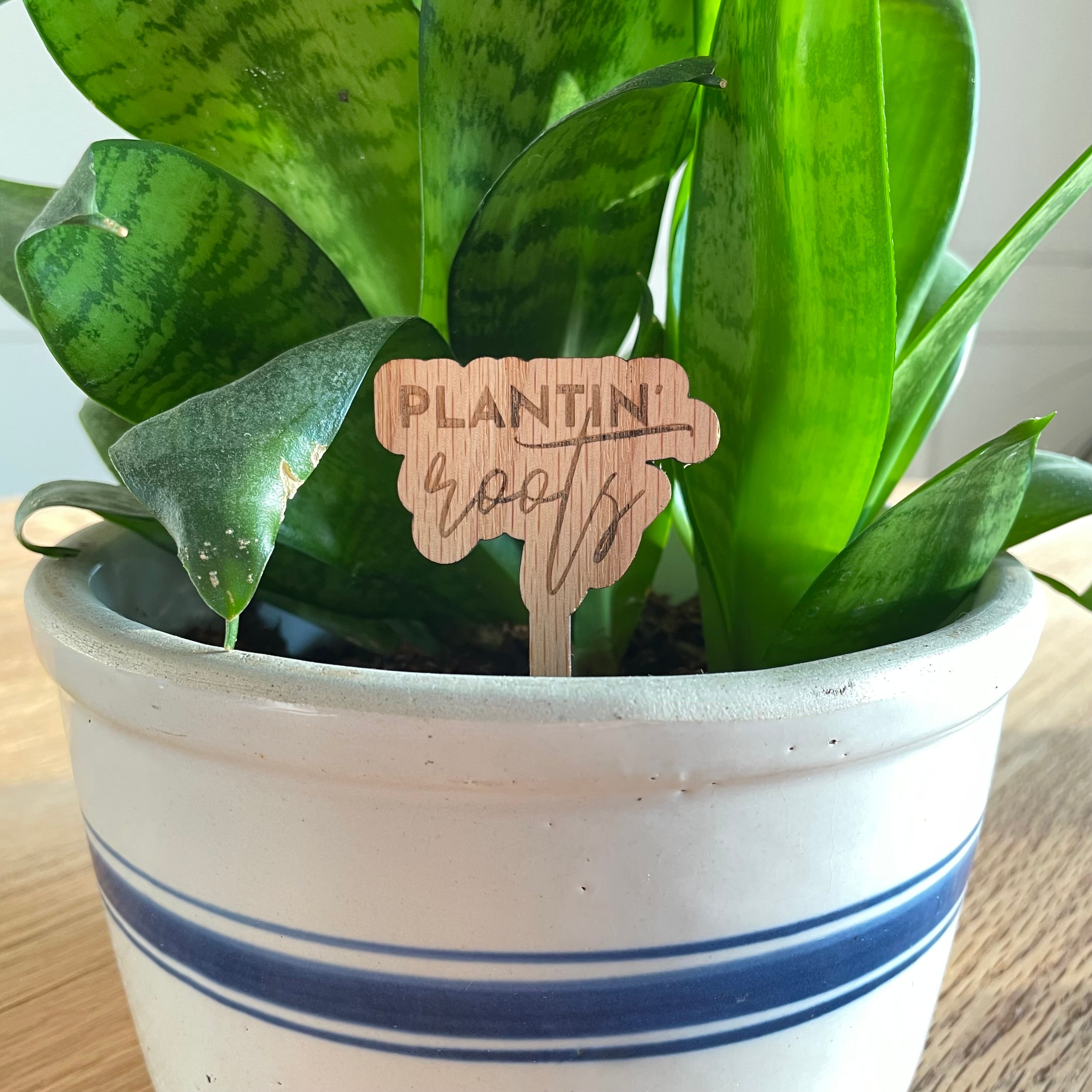 Plantin’ Roots - Plant Stake