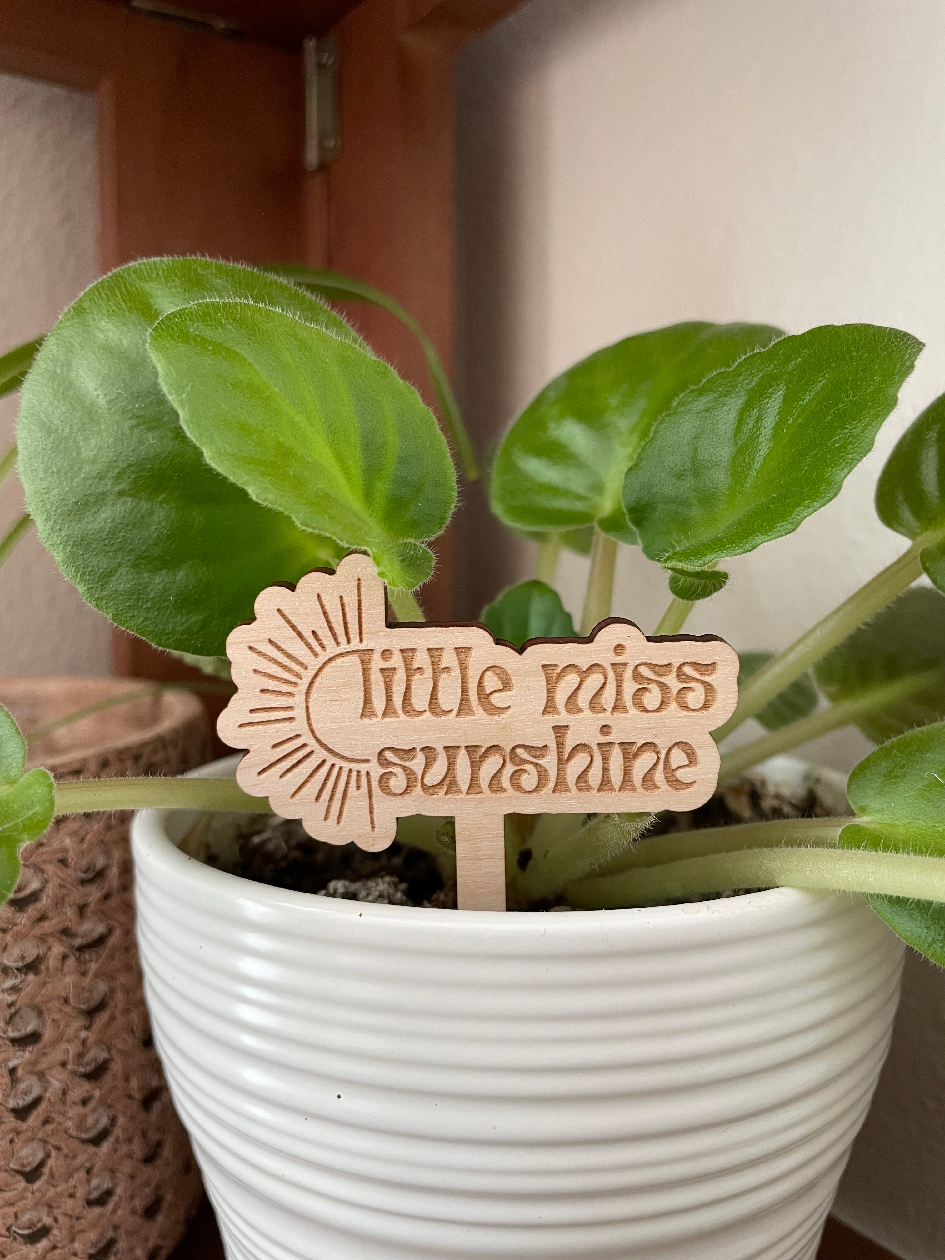 Little Miss Sunshine - Sun Plant Stake